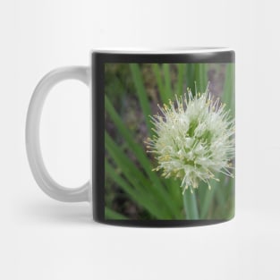 Green Onion Blossom 5 Mug